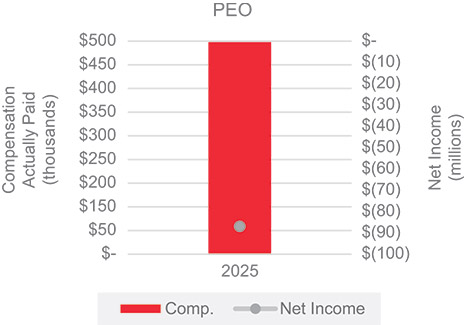 [MISSING IMAGE: bc_netincome1-pn.jpg]