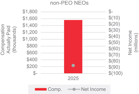 [MISSING IMAGE: bc_netincome2-pn.jpg]